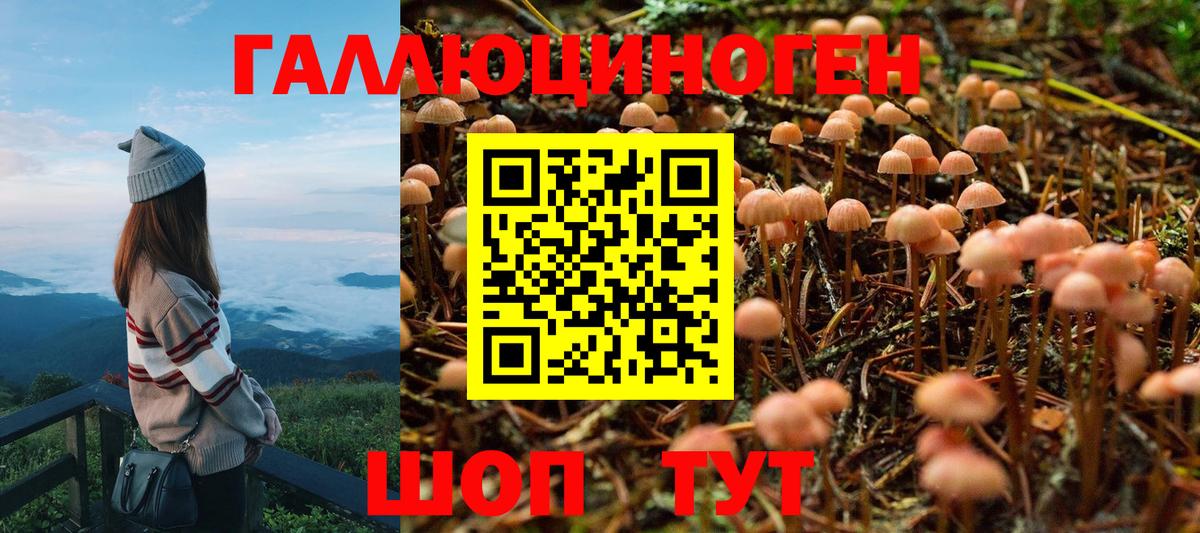 Галлюциногенные грибы MAGIC MUSHROOMS Семилуки