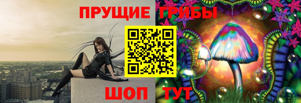 Семилуки  Галлюциногенные грибы прущие грибы  Вход с VPN  Псилоцибиновые грибы Psilocybe 